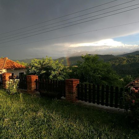 Family Hotel Lipite Tipcsenica Kültér fotó